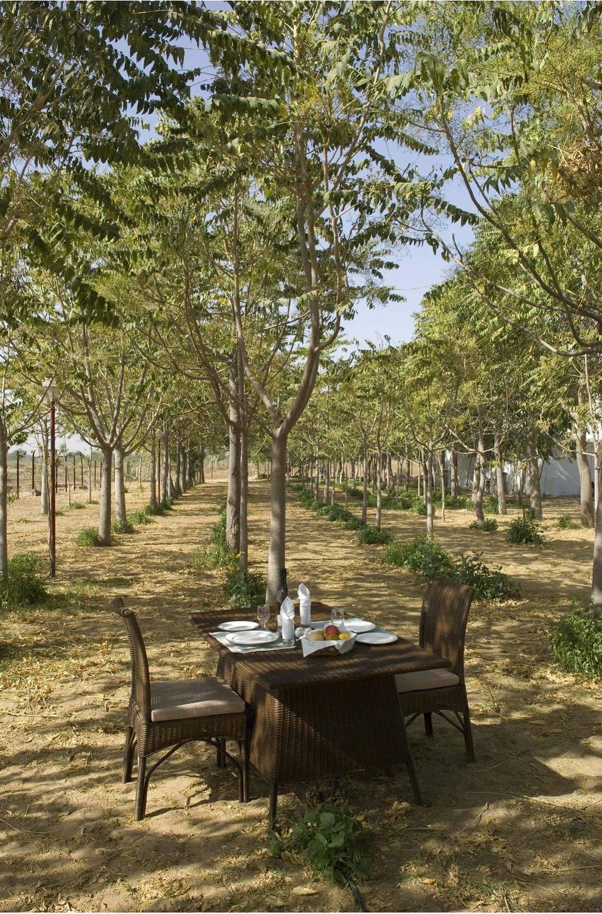 The Greenhouse Resort Pushkar Exteriör bild