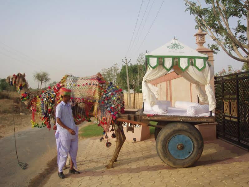 The Greenhouse Resort Pushkar Exteriör bild